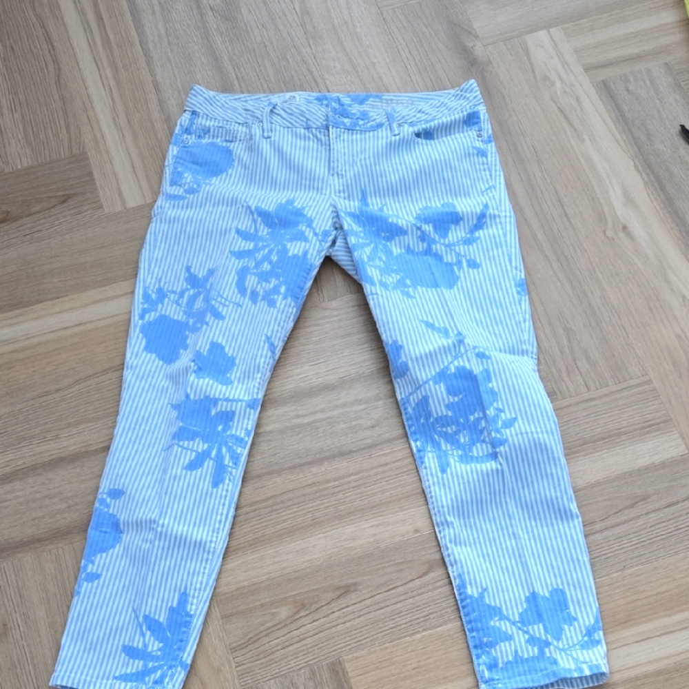 GAP 1969 Floral Blue Striped Women Jeans 29R